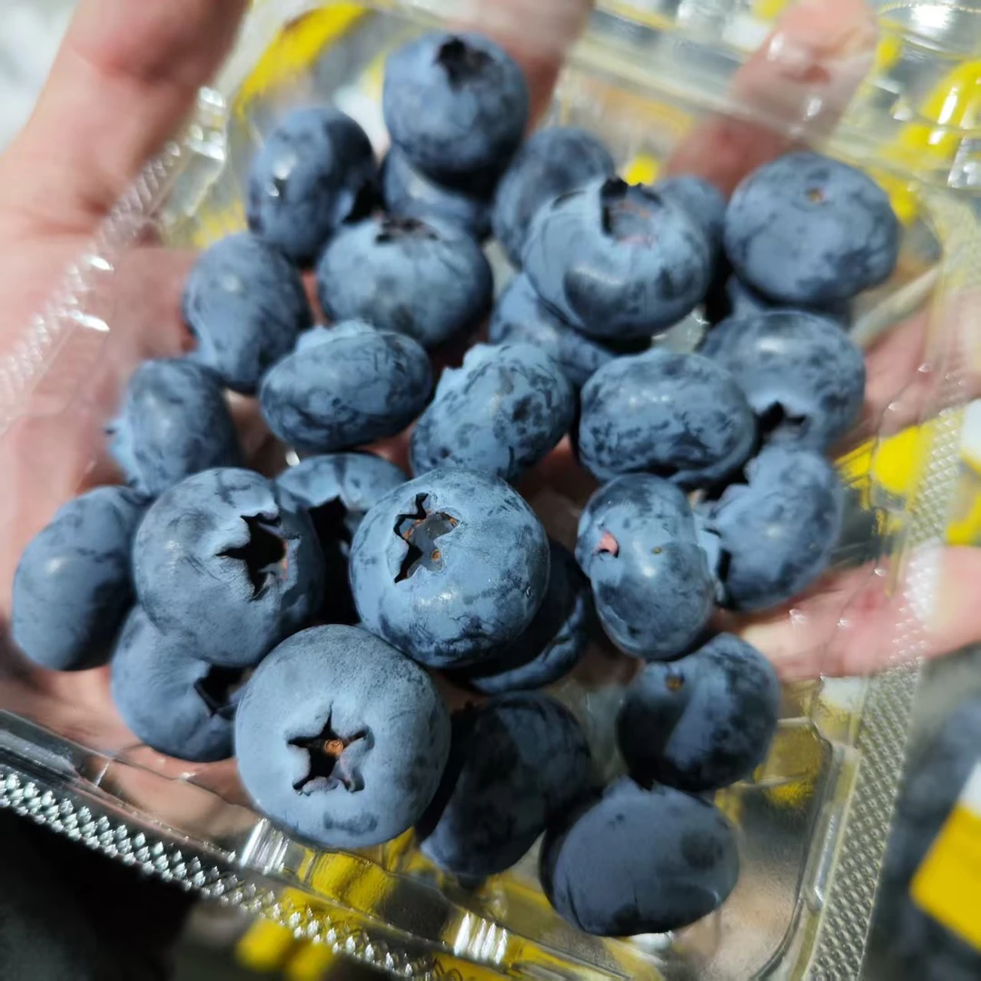【 陈灵岳甄选】“蜜悦”云南高山脆甜24+新鲜蓝莓一份 单盒净重125g