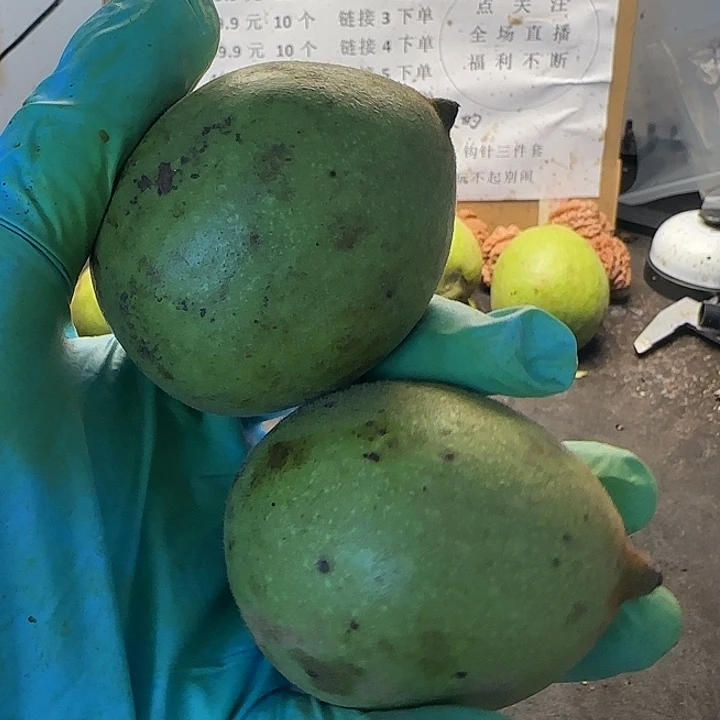 吊坠文玩核桃招财鼠小2颗