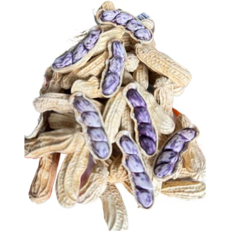 七彩湿烤花生龙岩花生休闲零食颗粒饱满酥脆咸香美味坚果炒货