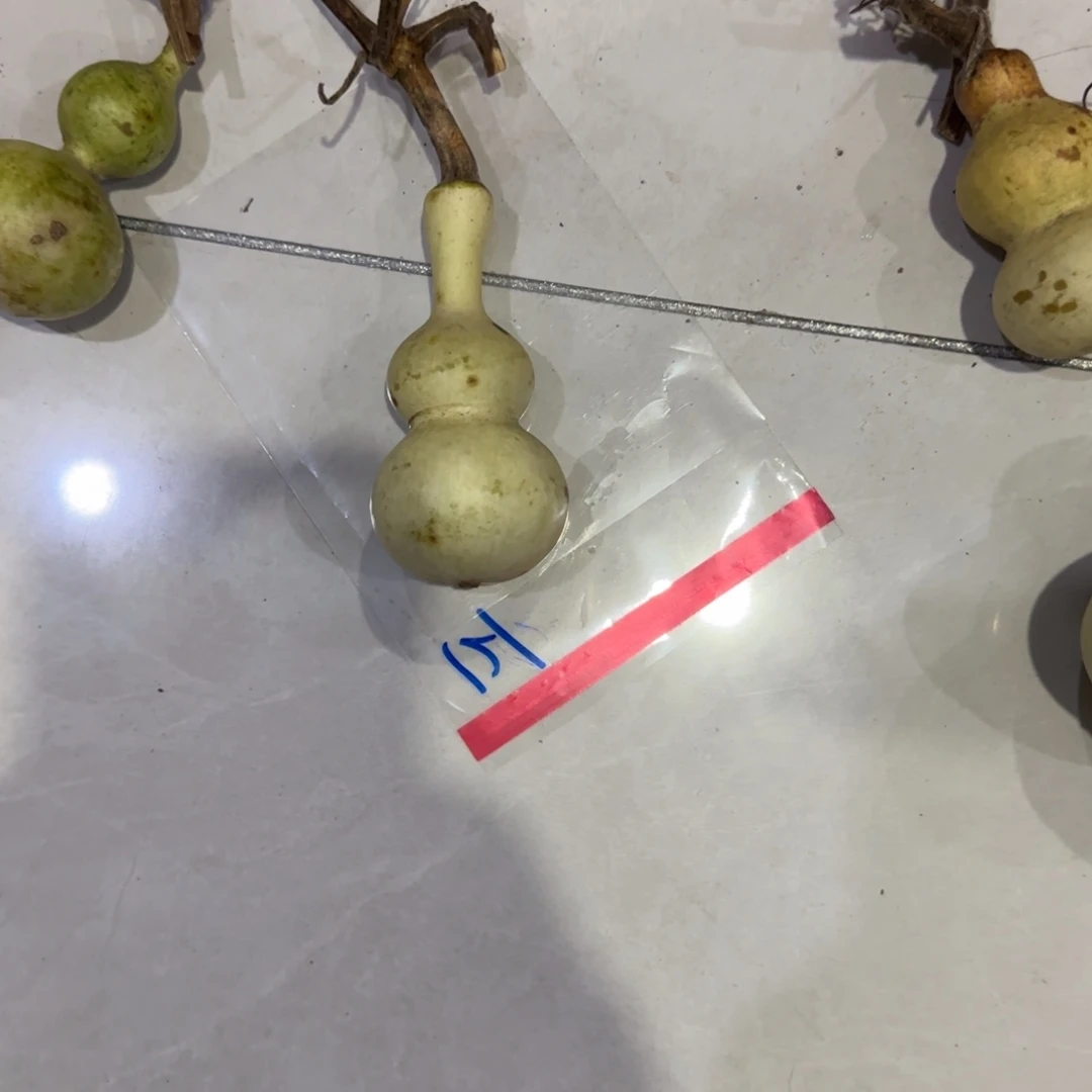 木***李青皮不包成大圆片放到盘子里面就