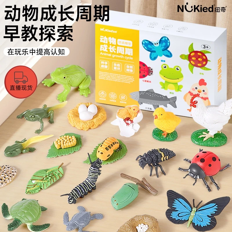 NuKied纽奇直播新款仿真动物成长周期益智动物模型