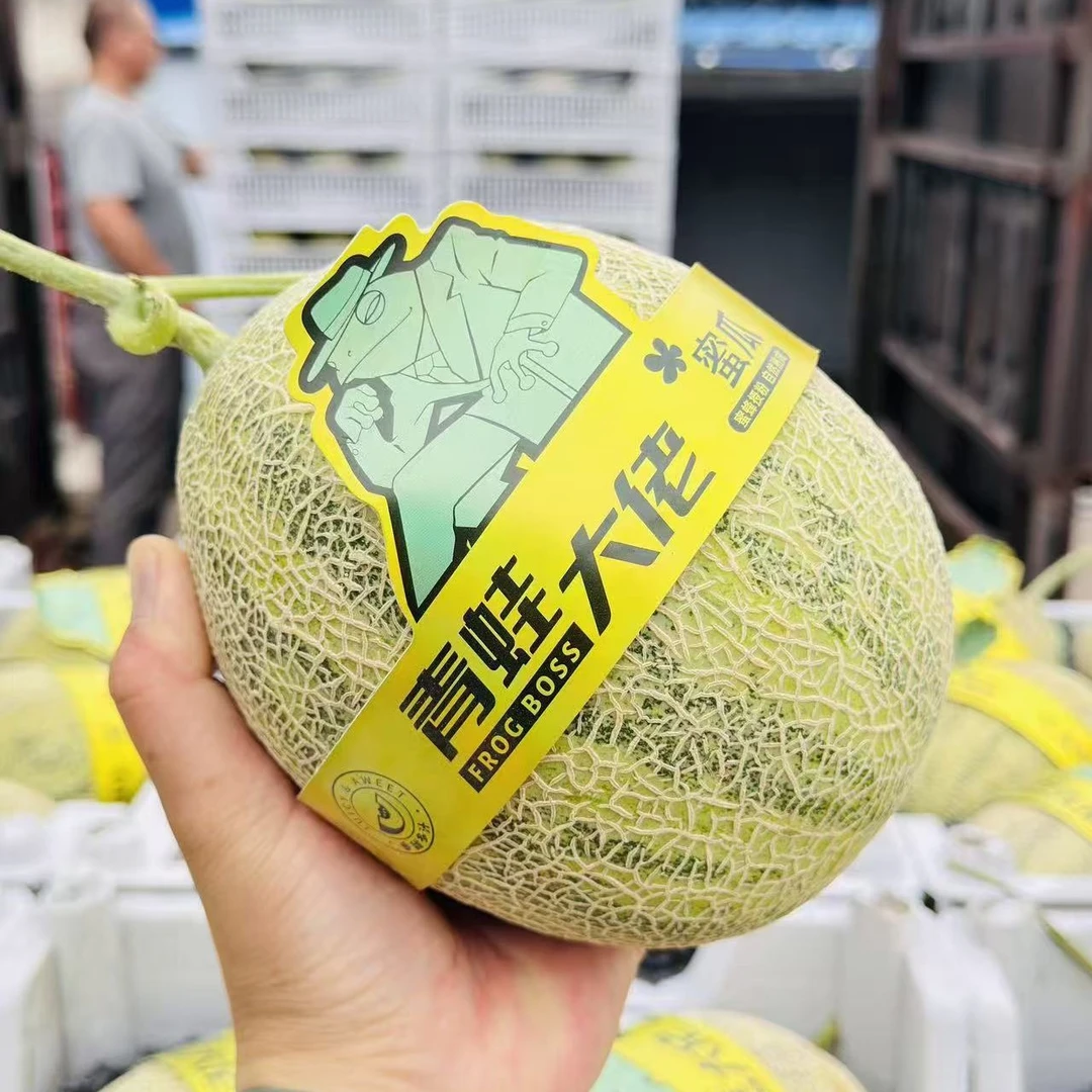 老牛专属 青蛙王子瓜 1件2颗4.5-5斤 快递包邮