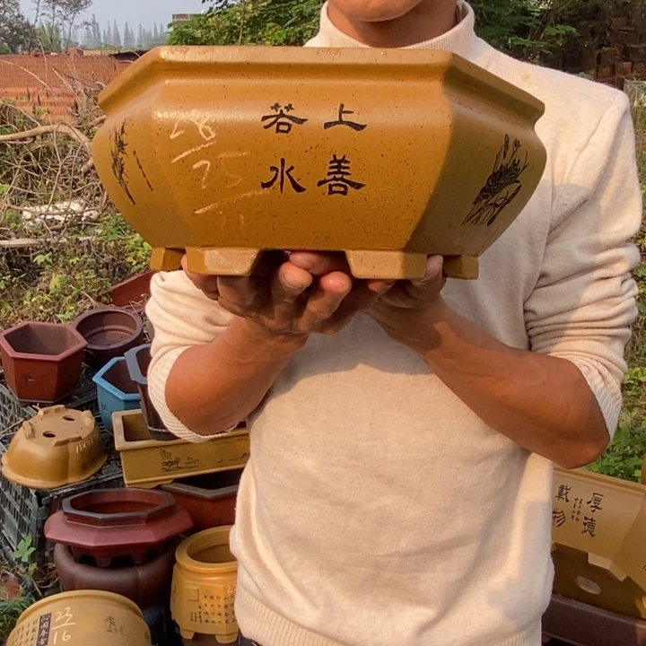 花盆紫砂紫砂艺术学院的学生