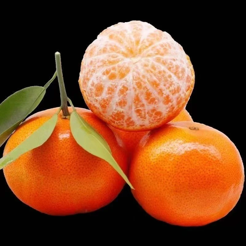 老树果轻微花皮新鲜沃柑应季薄皮新鲜水果橘子整箱9斤