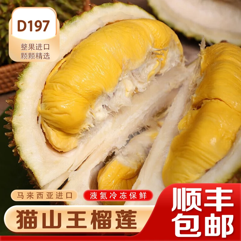 D197猫山王液氮榴莲猫山王榴莲顺丰航空发货猫山王马来西亚