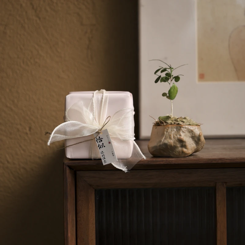 【老黑】恰似你的温柔2015年六堡茶100克