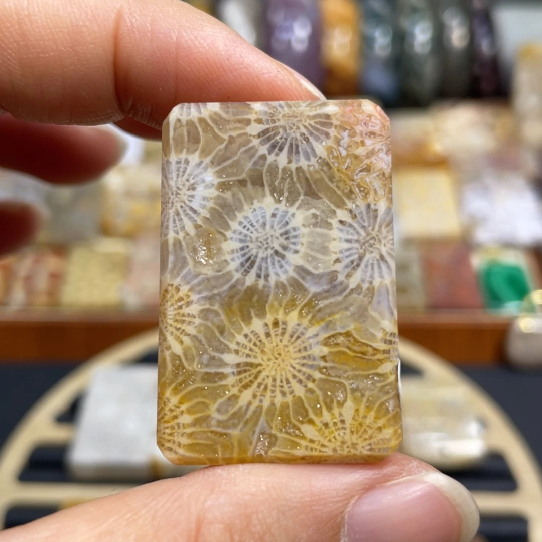 硅化玉未镶嵌颈饰k75