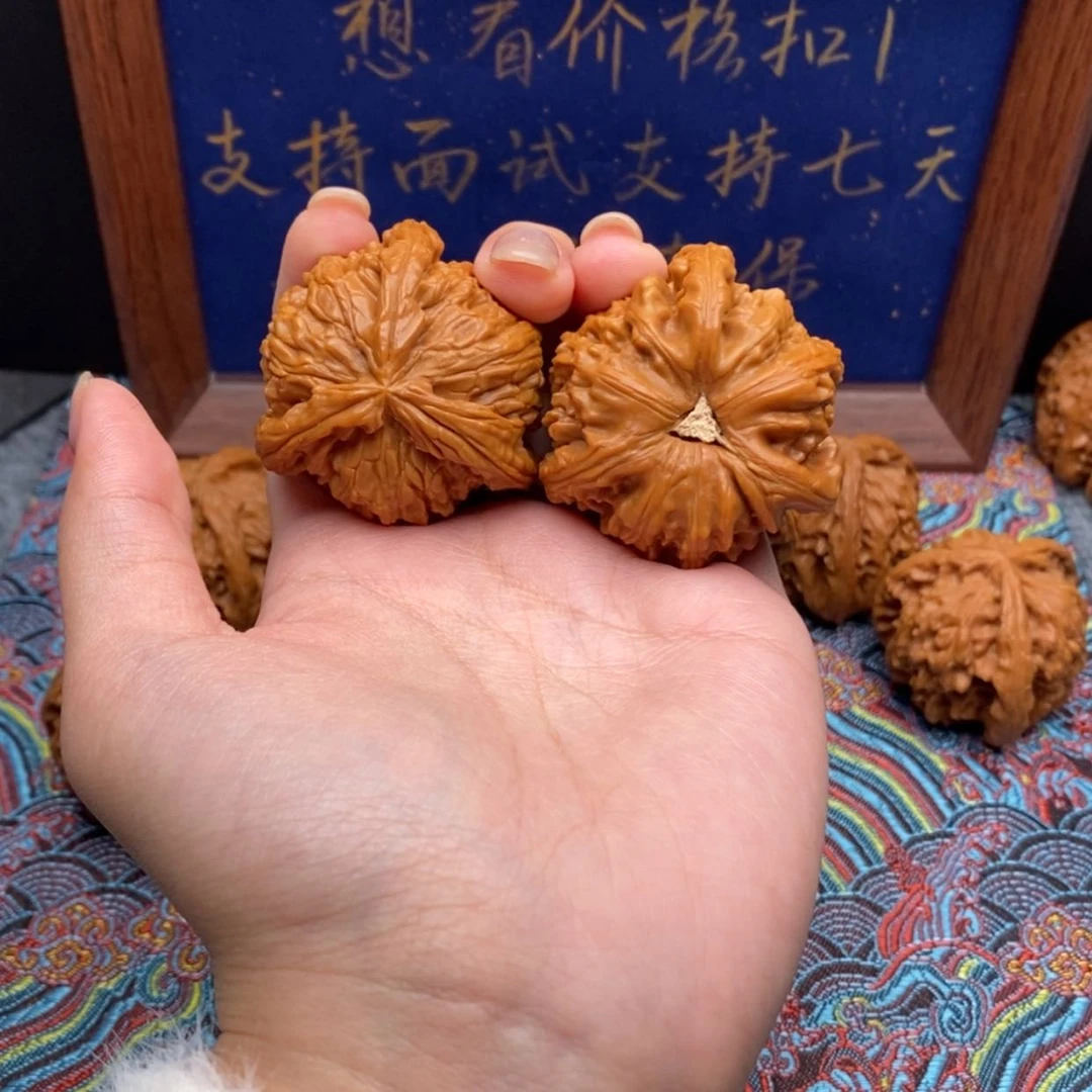 【闪购商品】云*白狮