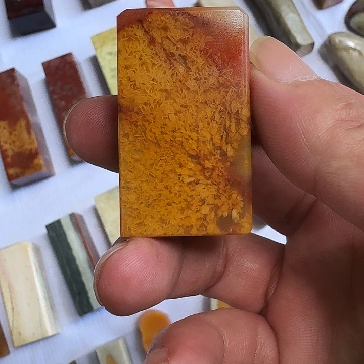 溜****寿山石山秀园魚籽冻