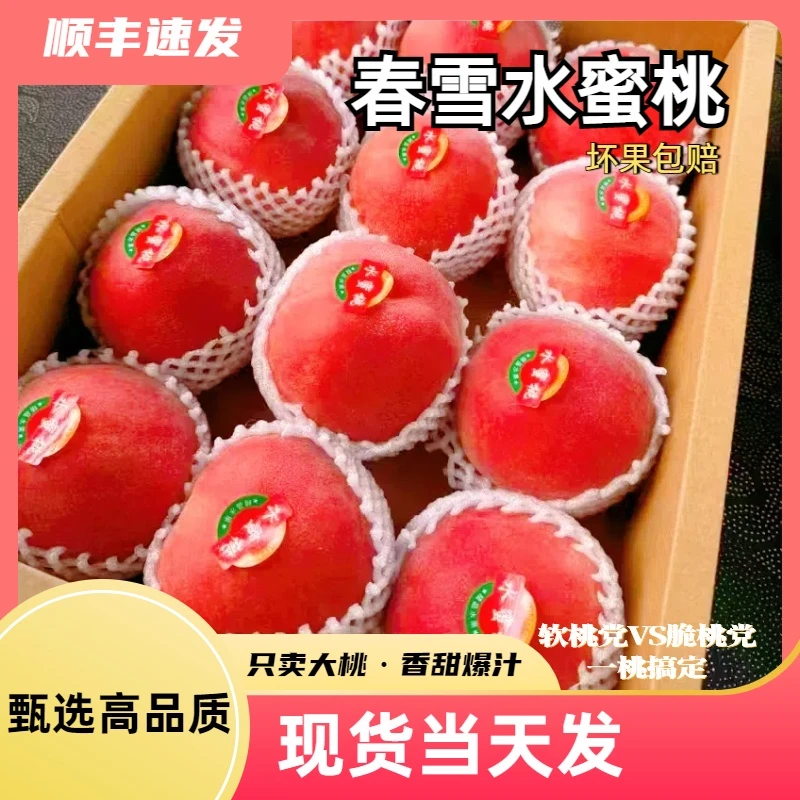 2025新果采摘【春雪水蜜桃】香甜多汁 精品大果 精美礼盒顺丰包邮