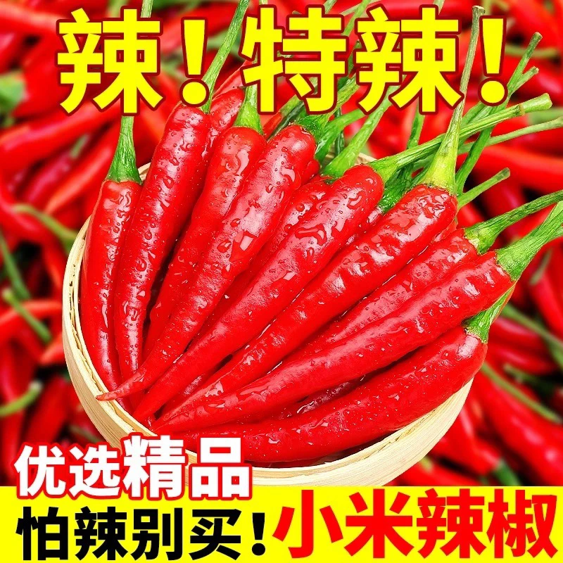 （地头价）新鲜现摘特辣小米椒特辣爆辣泡椒剁椒干辣椒
