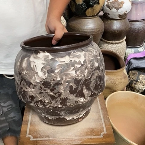 口22高度24蘑菇880