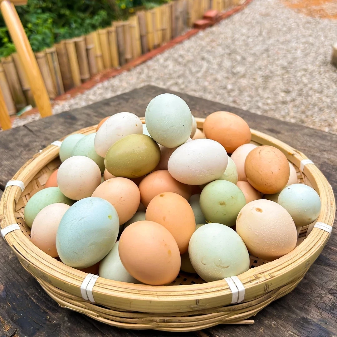 【阿玲家】高山散养土鸡蛋新鲜无沙门氏菌健康营养鸡蛋