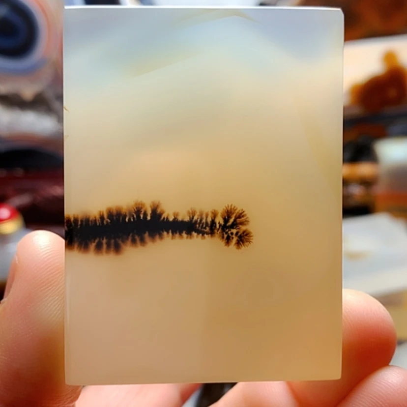 【闪购商品】玛瑙/玉髓颈饰合金