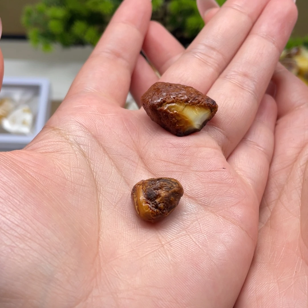 家****定制琥珀未镶嵌天然蜜蜡原石