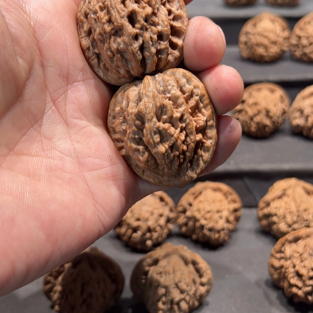 文玩核桃把件欧**岁虎头