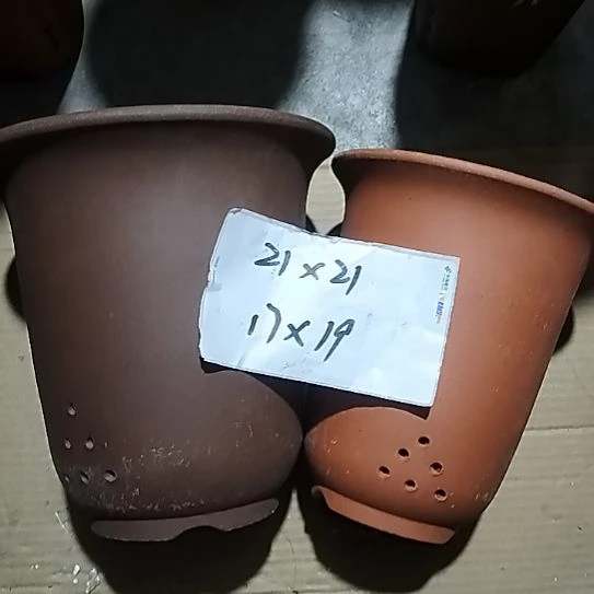 紫砂大紫小红金钟两个