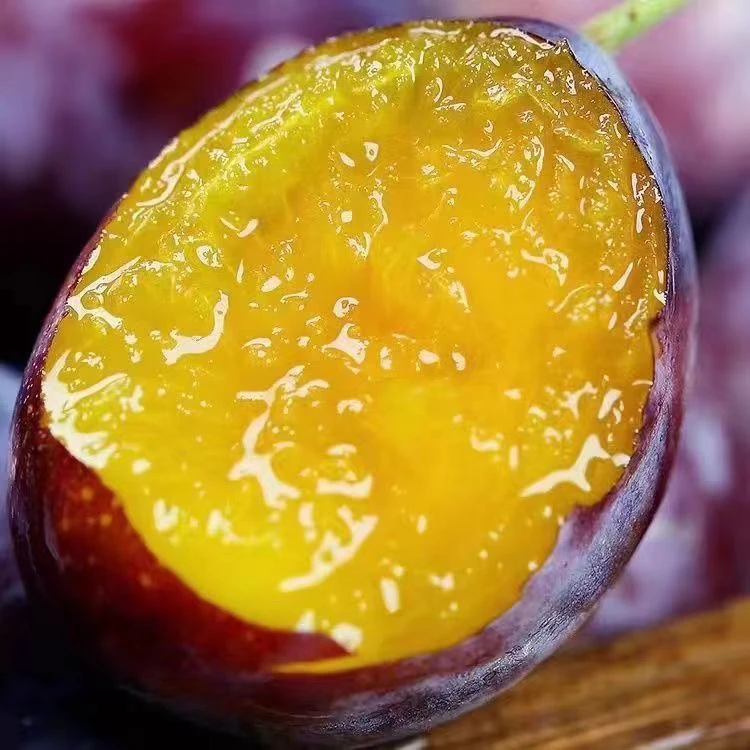 【新疆西梅】西北应季新鲜西梅整箱包邮口感脆甜孕妇适用