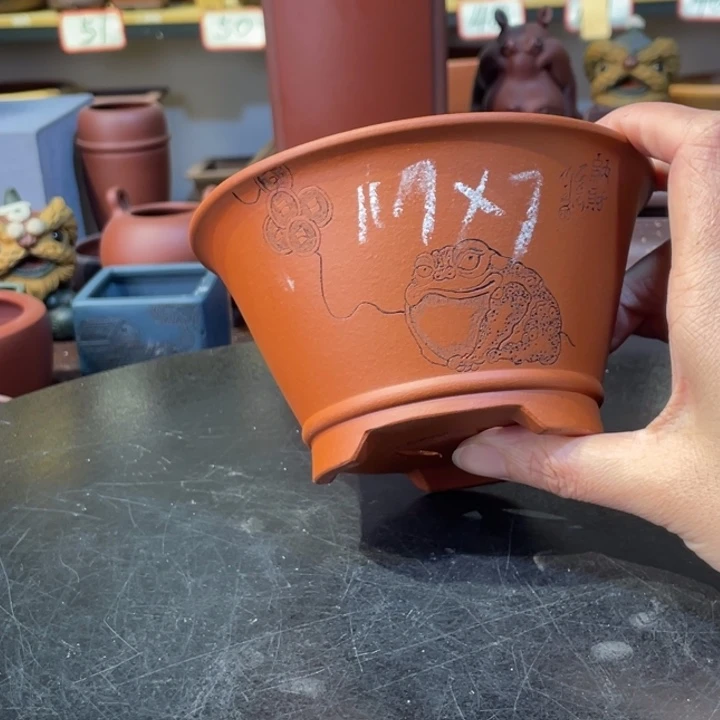 紫砂花盆在干嘛呀