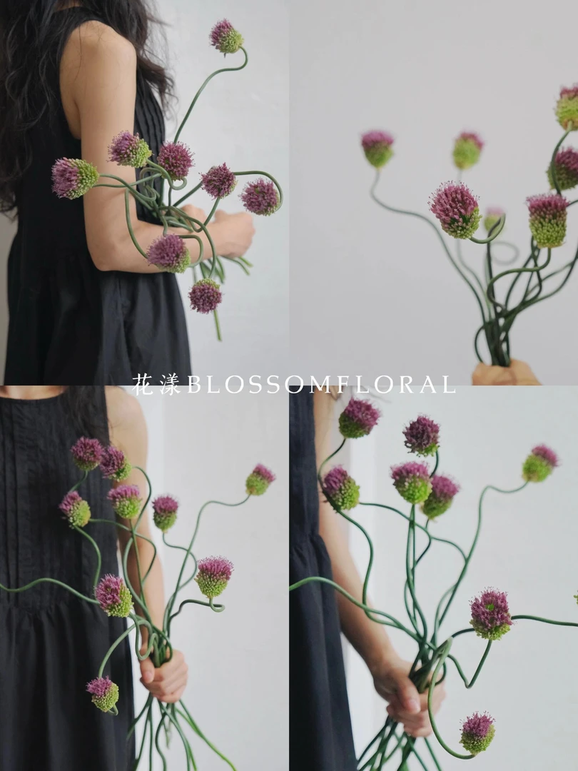 【弯葱】中式禅意花期长可做干花云南鲜花基地直发母亲节送礼