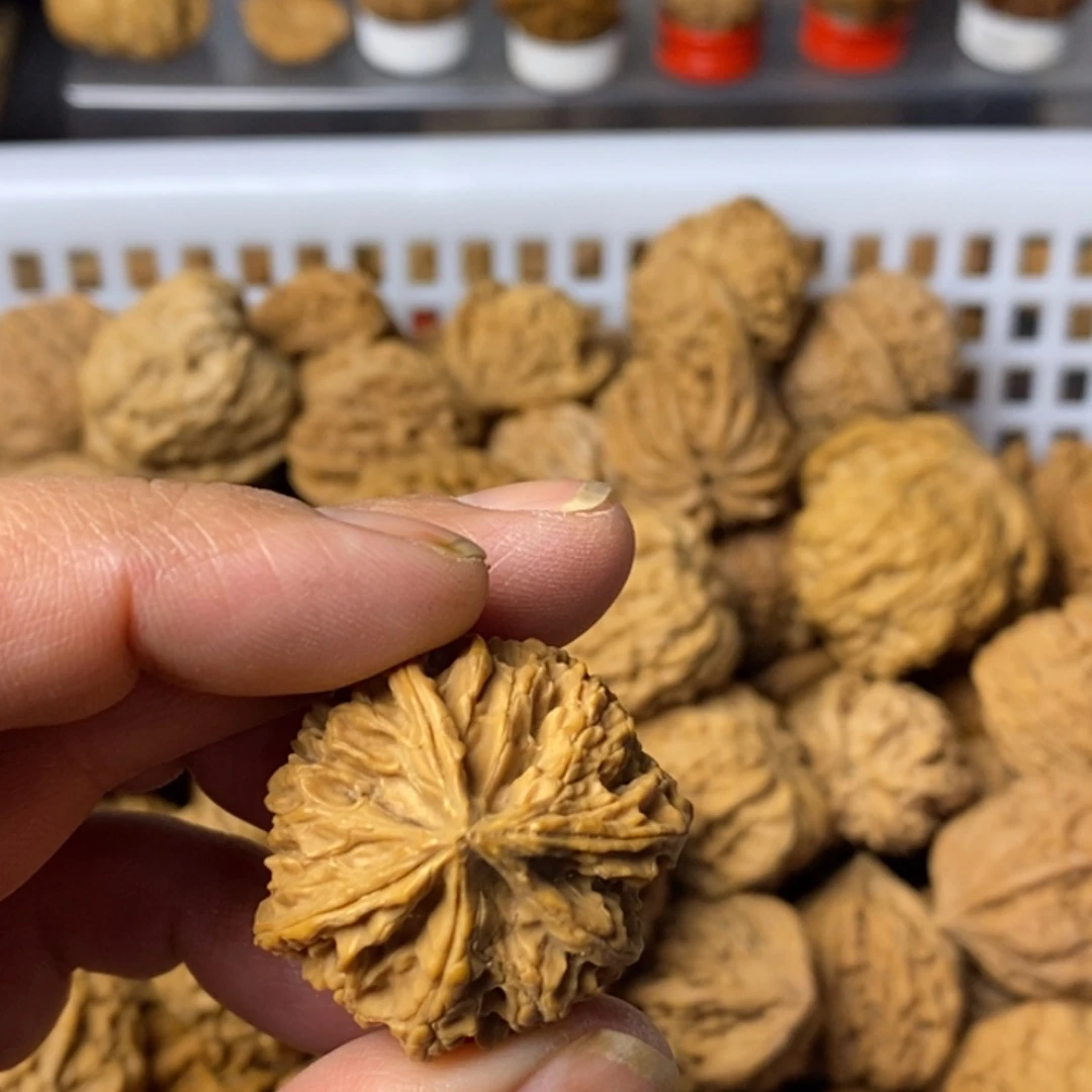 快***恼大叶紫檀（黑酸枝木类）
