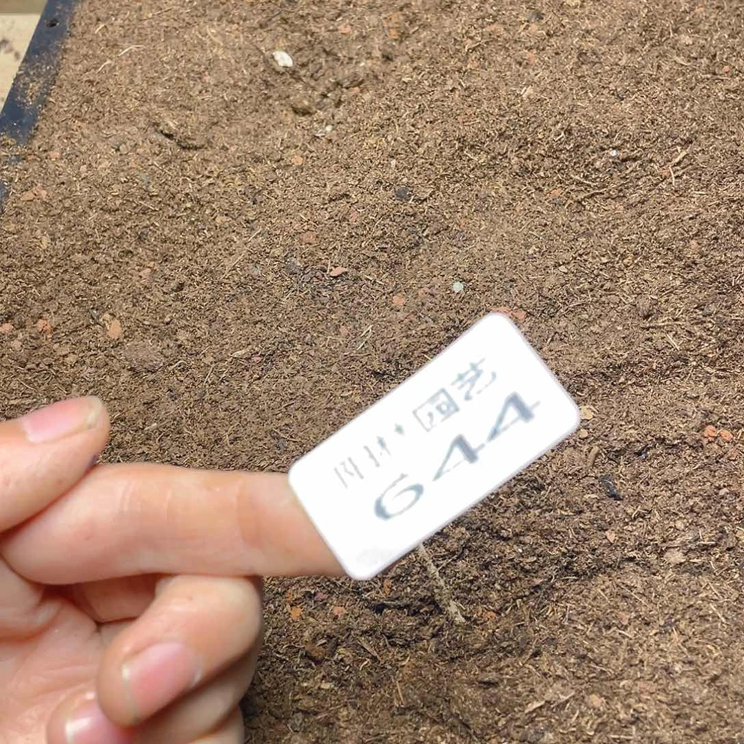 量拍多肉植物土一筐644