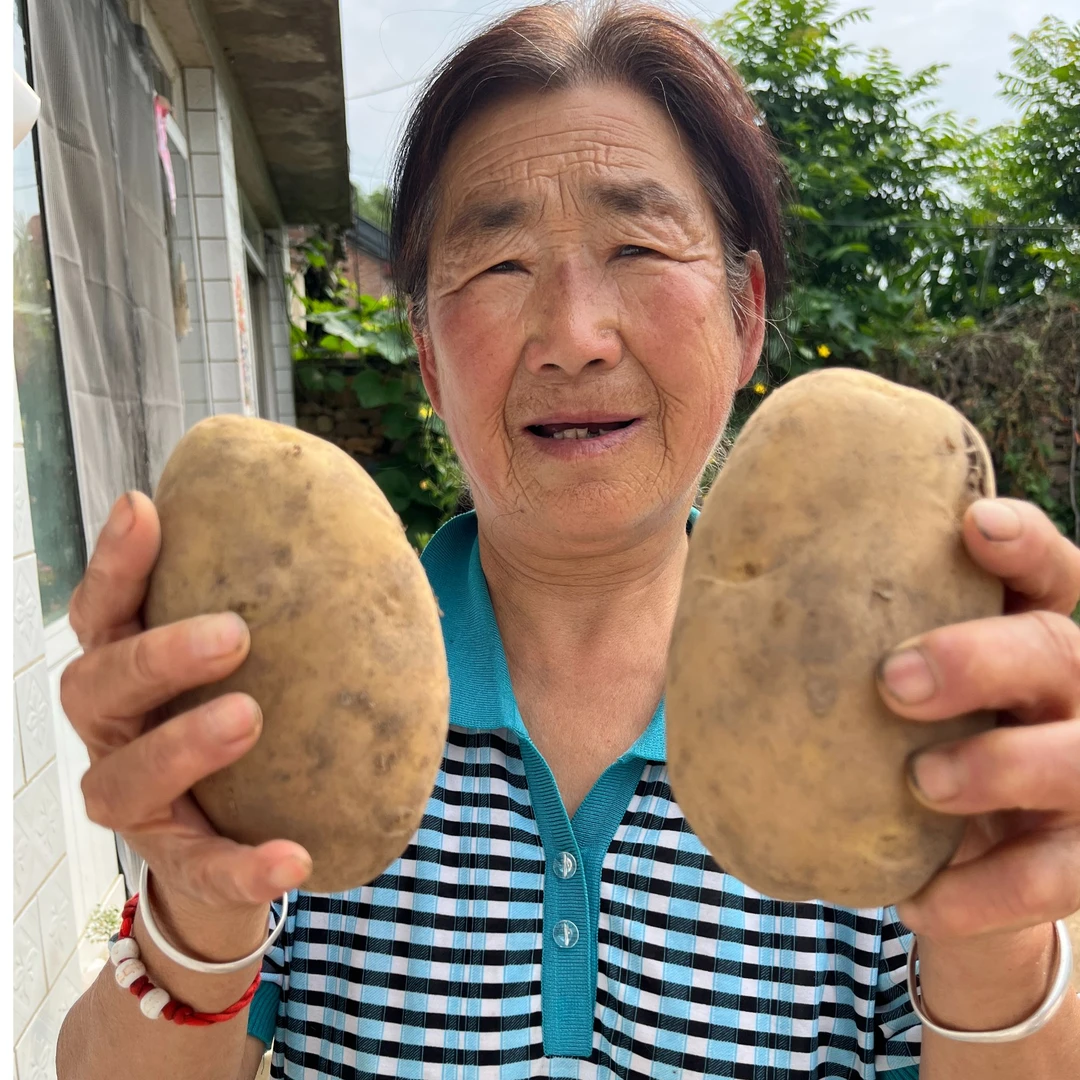 绿肥土豆 农户自家种植 9斤净重 京东到家 包邮