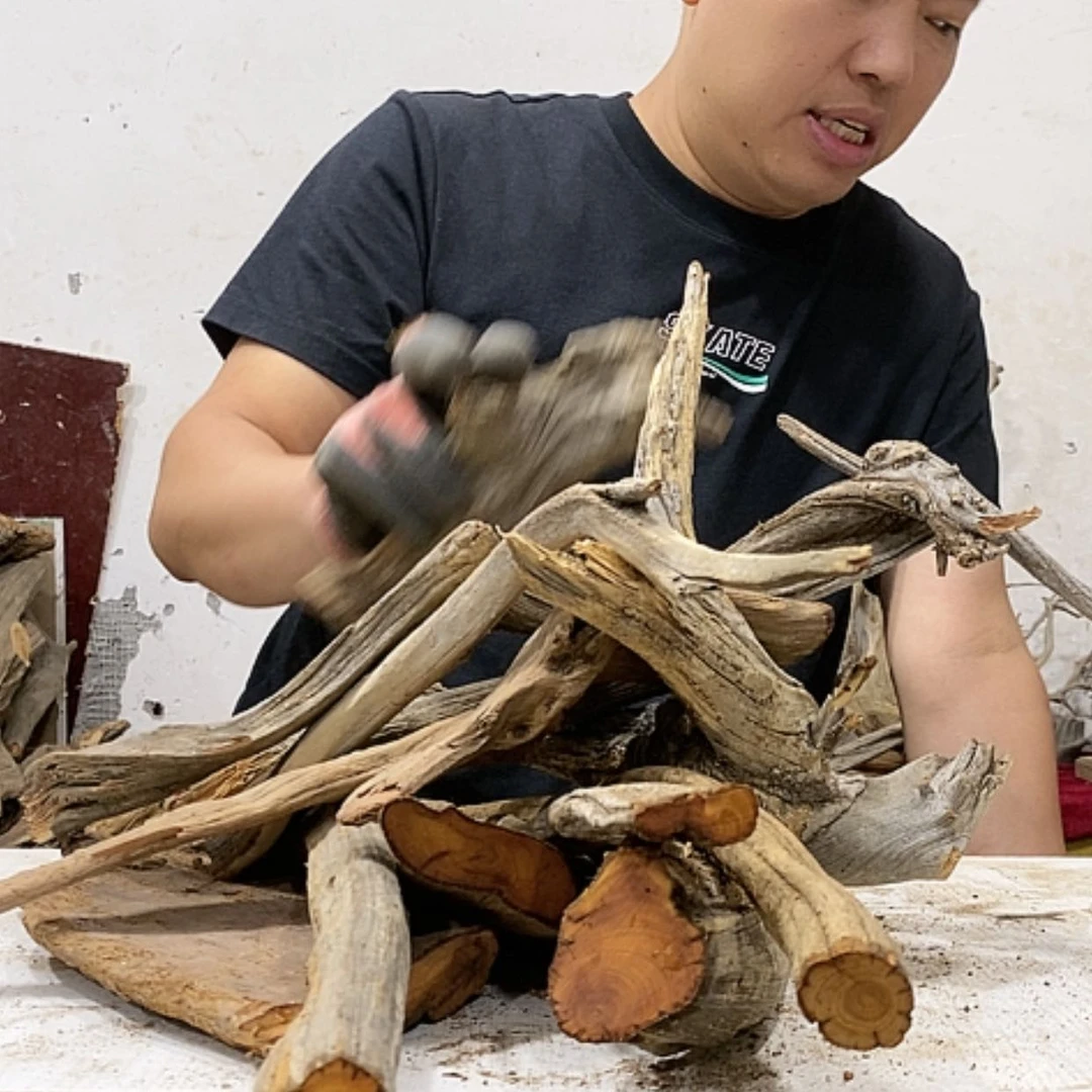 【闪购商品】柏木海****军我们都是好孩子