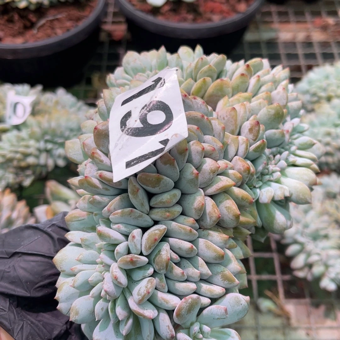 191号1888989999588889