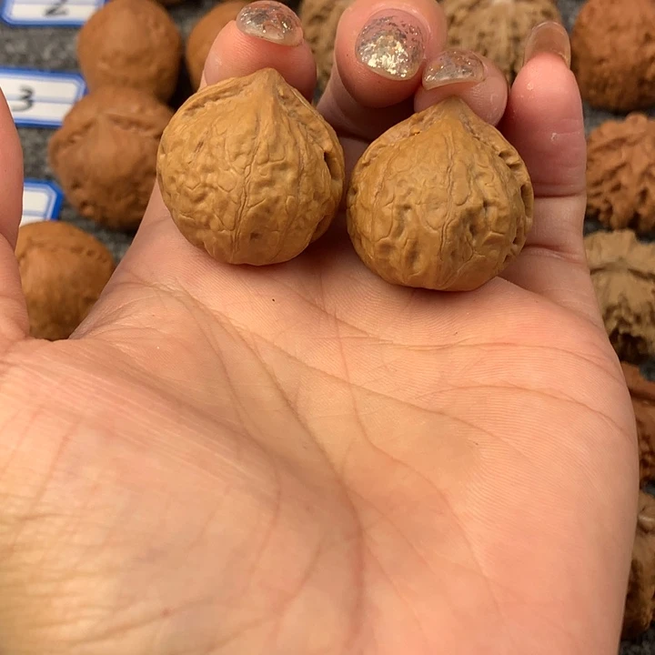 佛肚。