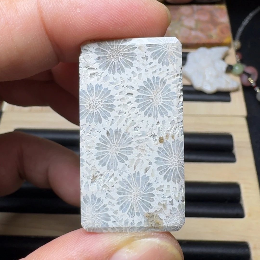未镶嵌纯天然色有机玉石保真色硅化玉