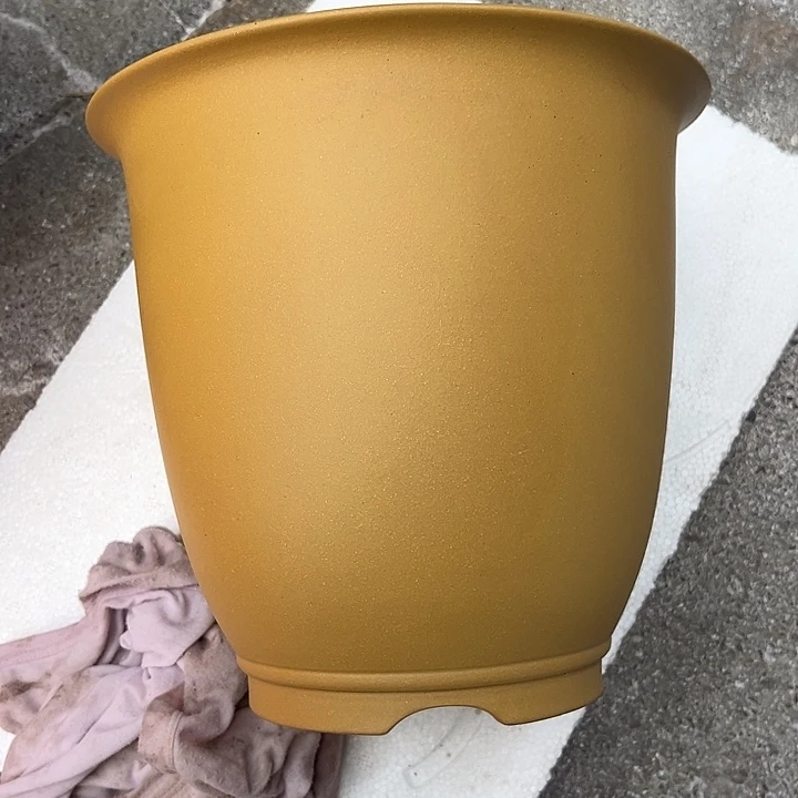 荷***月紫砂其他88888888888888888