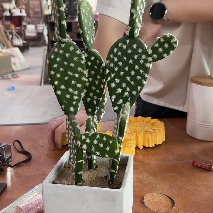 一体款瑕瑕微瑕微瑕瑕