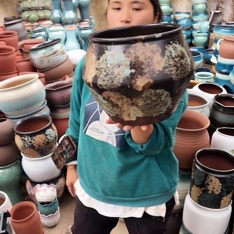 口24高24一个盆子。