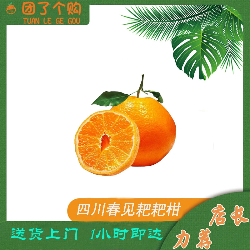 四川春见耙耙柑【5斤装】