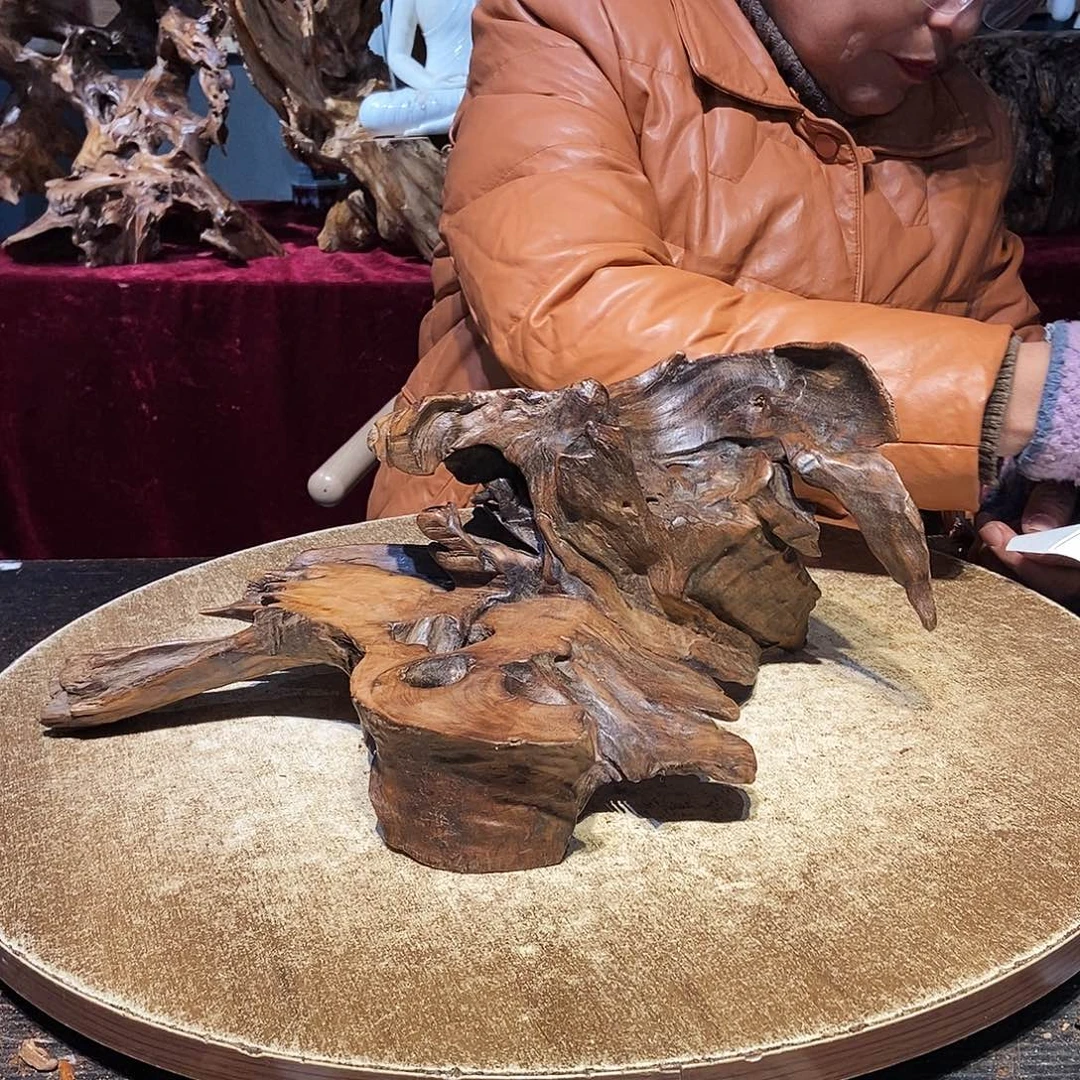 成***禅743。株木随行根艺