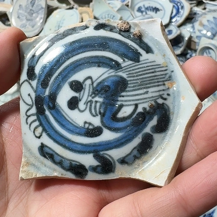 瓷片瓷片标本，顺丰包邮