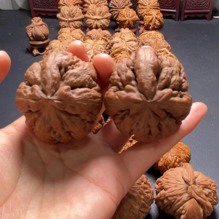 霸王龙丁字奔46尺寸核桃哈哈哈哈哈哈哈