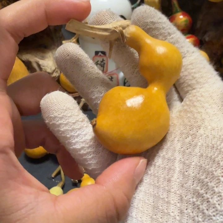 天***司666666666666666666