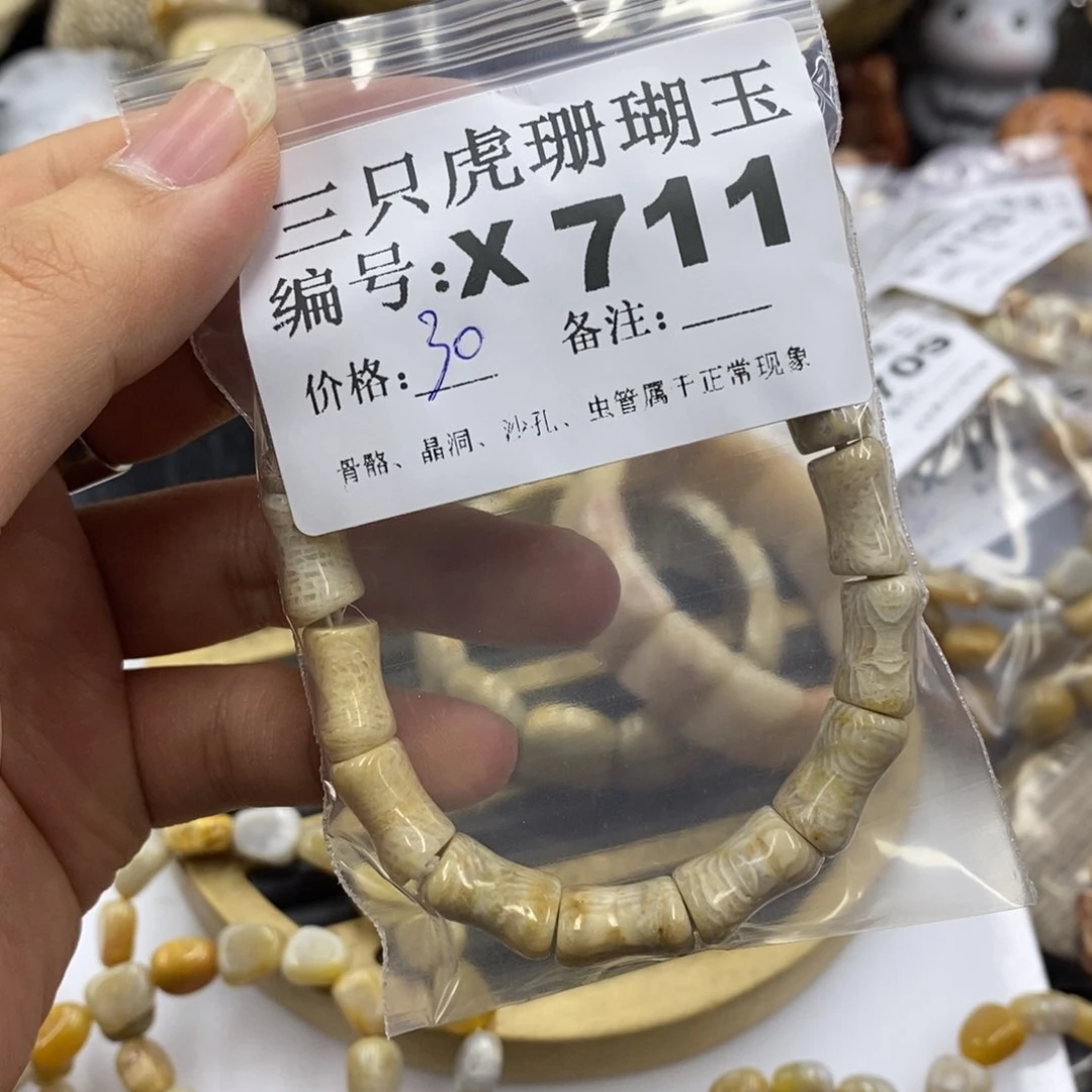 硅化珊瑚（珊瑚玉）1未镶嵌自**籽