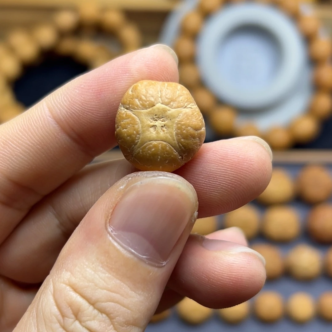 手串凤眼菩提18.5五星上将