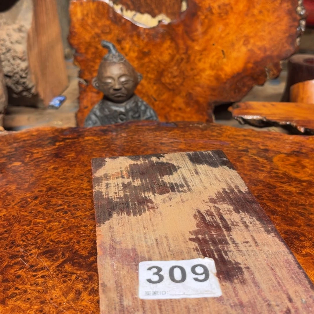 大果紫檀（缅甸花梨）