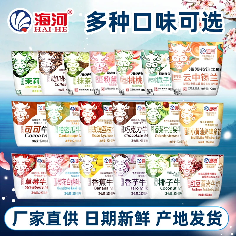 天津海河牛奶可可巧克力草莓咖啡椰子奶儿童营养早餐燕麦奶整箱
