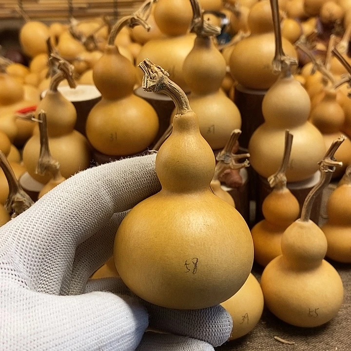 文玩葫芦 完美主义者 慎拍58