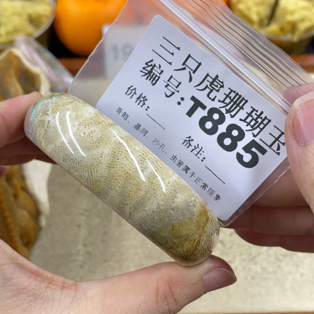 硅化珊瑚（珊瑚玉）1未镶嵌