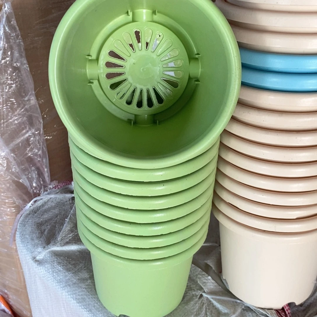 10个13.5口果绿小盆无托