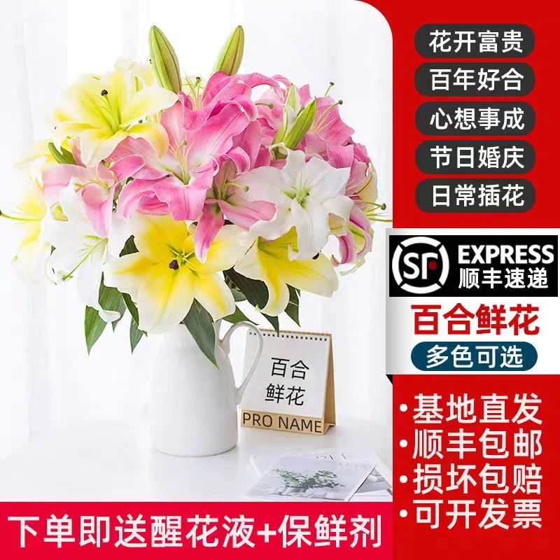 顺丰一单包邮【七彩百合混色】云南香水百合鲜花家用鲜花花材长