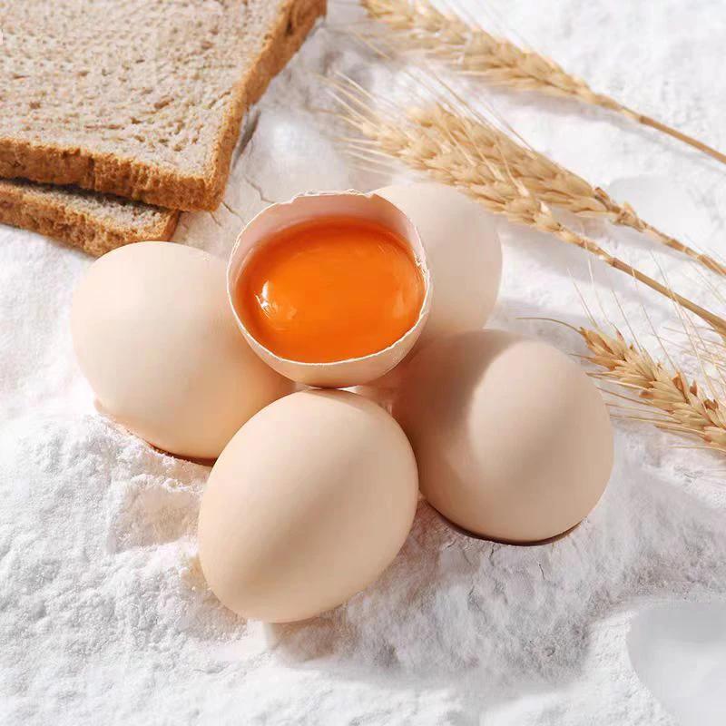 土地娃土鸡蛋30送20枚共50枚正宗农家谷物精品土鸡蛋