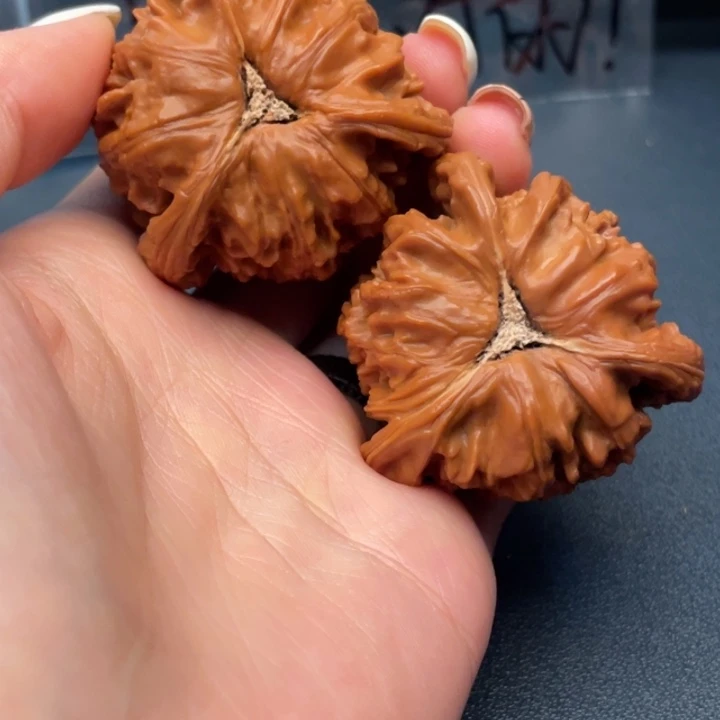 紅***號文玩核桃吊坠白狮子