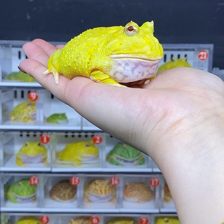 特价促销开始啦哇哇